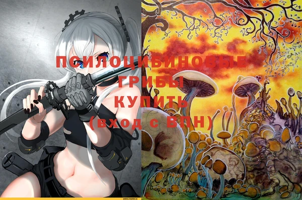 прущий лед Володарск