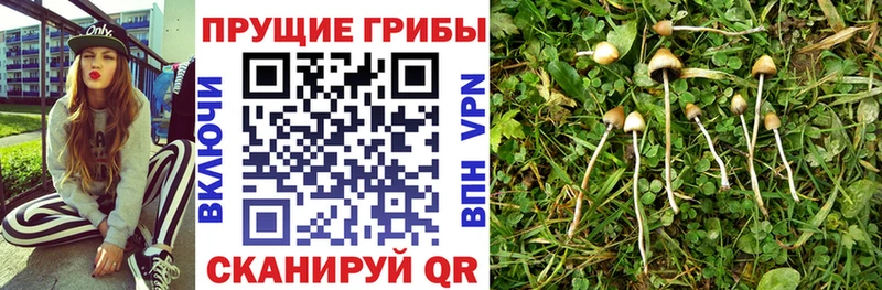 Псилоцибиновые грибы Magic Shrooms  цена наркотик  Волгореченск 